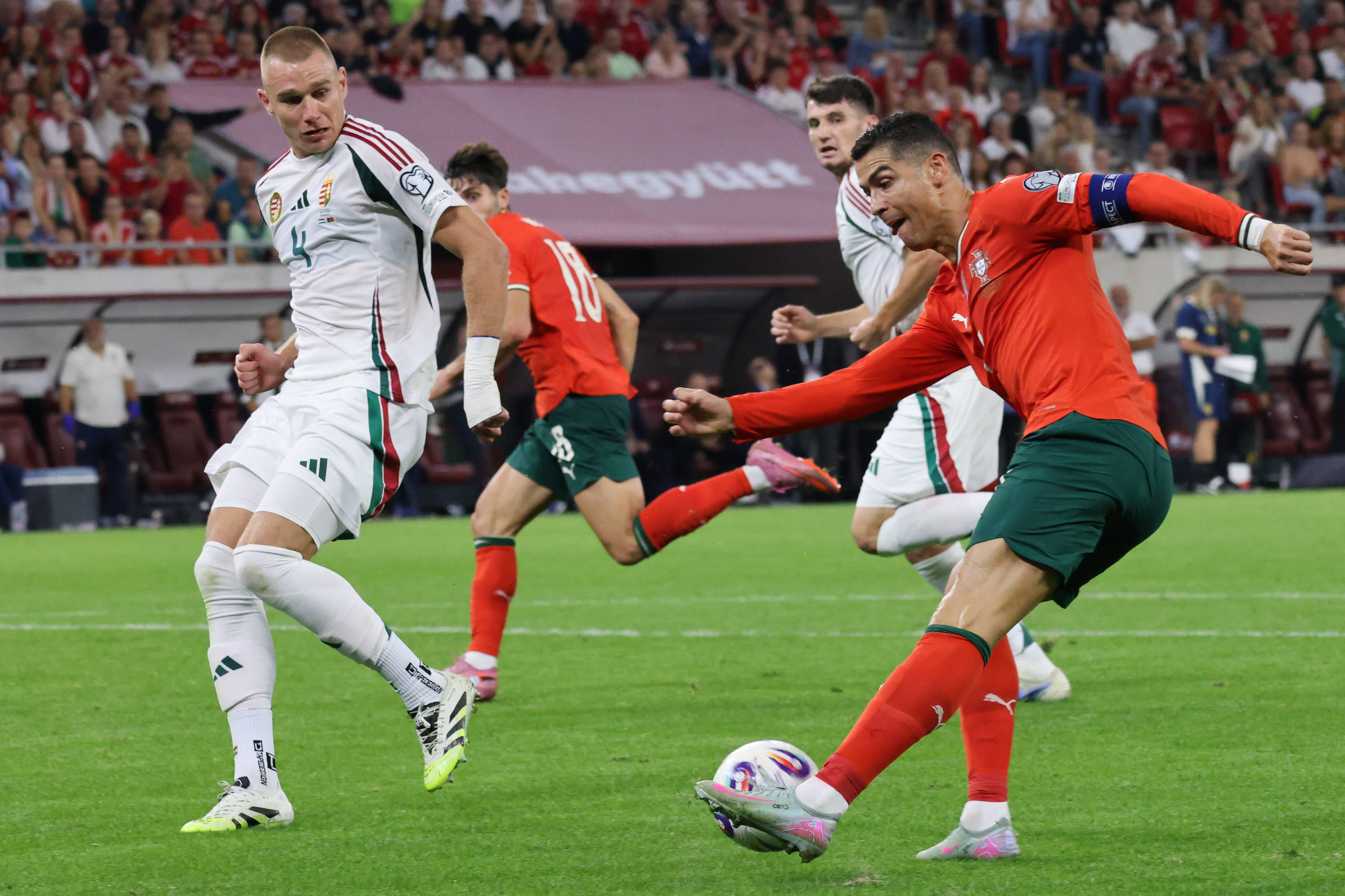 KOK体育-葡萄牙vs荷兰欧洲杯